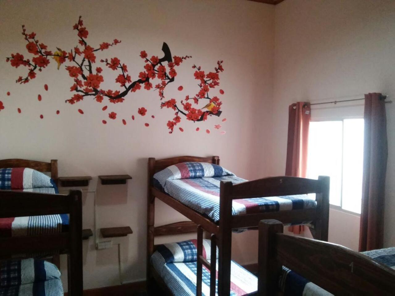 Hostel Posada Del Gaucho Montevideo Zewnętrze zdjęcie